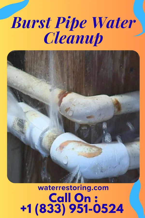 Burst Pipe Water Cleanup in Princeton, WV