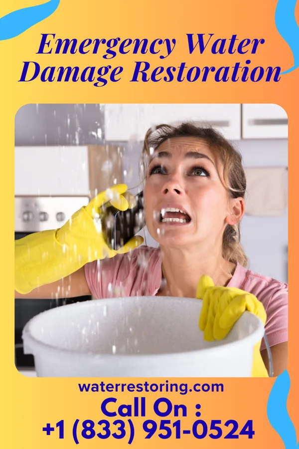 Emergency Water Damage Restoration in Princeton, WV