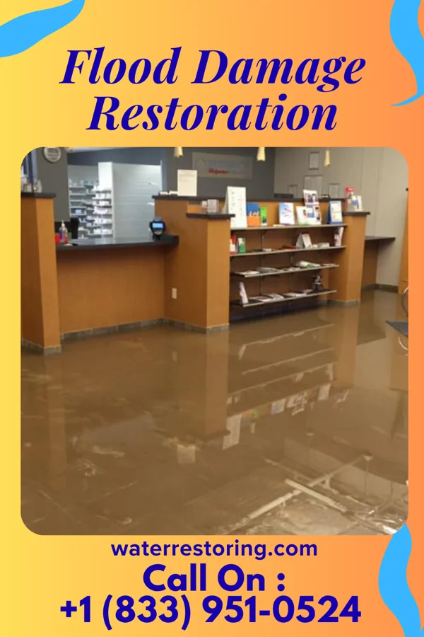 Flood Damage Restoration in Princeton, WV