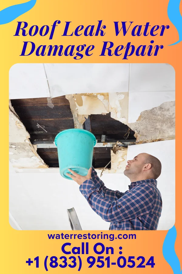 Roof Leak Water Damage Repair in Princeton, WV