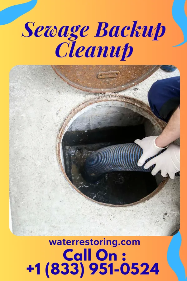 Sewage Backup Cleanup in Princeton, WV