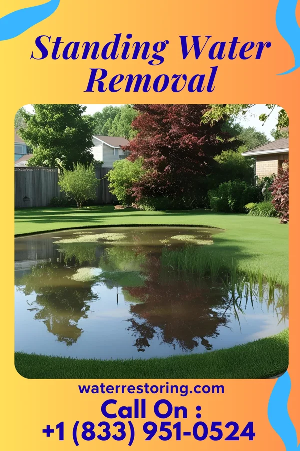 Standing Water Removal in Princeton, WV